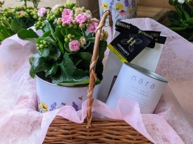Simply Flowers Cheadle Local House Plant Hamper Delivery by Local Florist