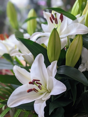 Simply Flowers Cheadle Local Flower Delivery Lily Bouquet